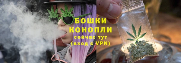 прущие грибы Алзамай