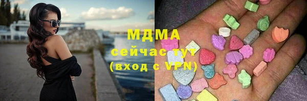 прущие грибы Алзамай