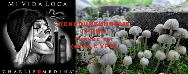 прущие крисы Алексеевка