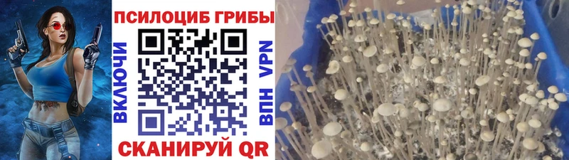 Галлюциногенные грибы ЛСД  как найти наркотики  дарк нет формула  Льгов 